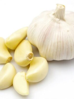 Garlic