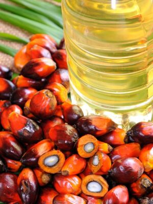 Palm Oil