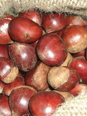 Raw Chestnuts