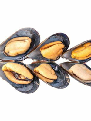 Mussels