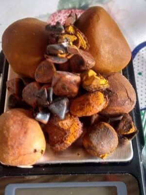 Ox Gallstone/ Cow Gallstone