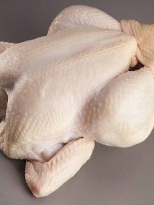 Frozen Chicken