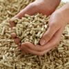 Wood Pellets For Sale