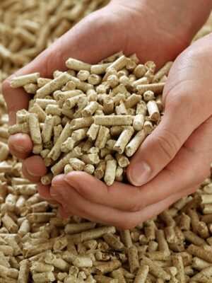 Wood pellet