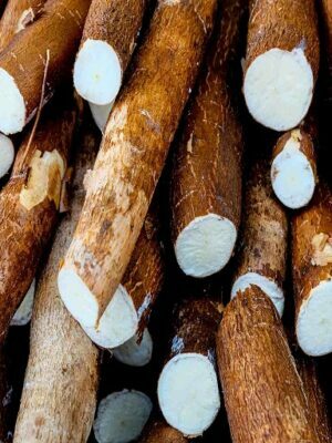 Fresh Cassava